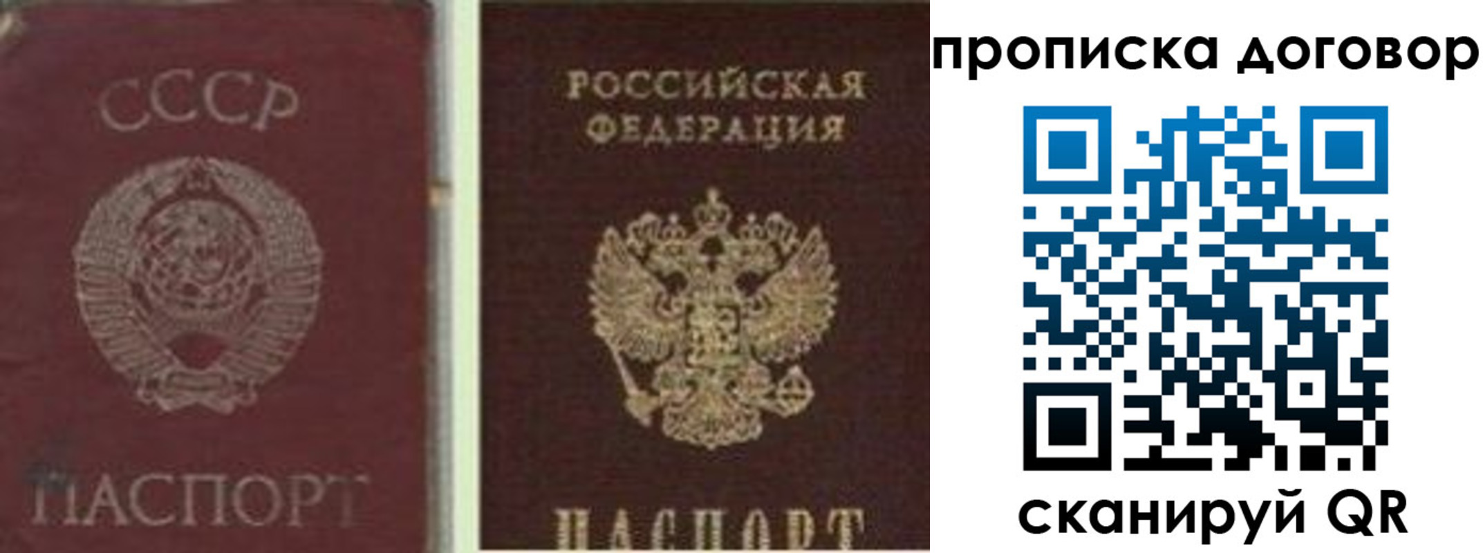 прописка гарантия в Дзержинском